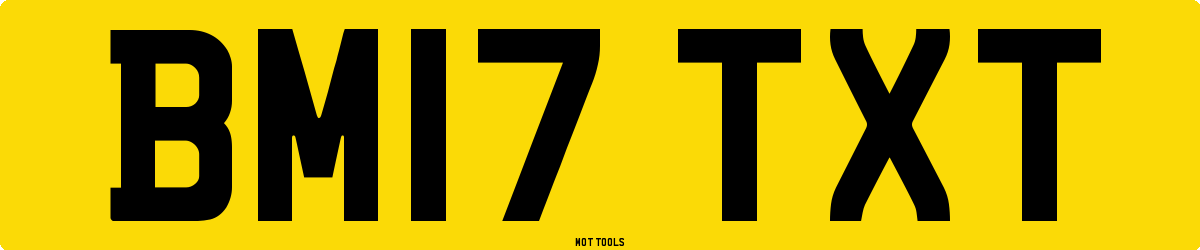 BM17TXT MOT Check