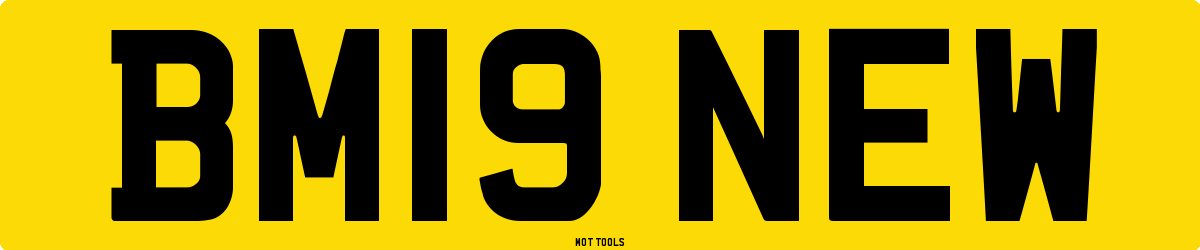 BM19NEW MOT Check