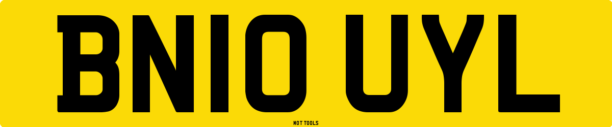 BN10UYL MOT Check