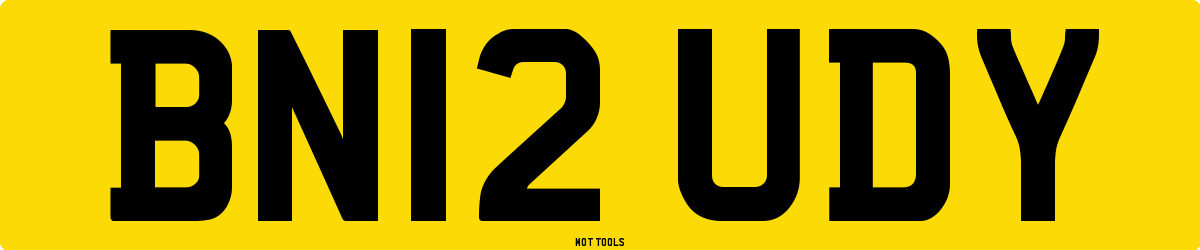 BN12UDY MOT Check