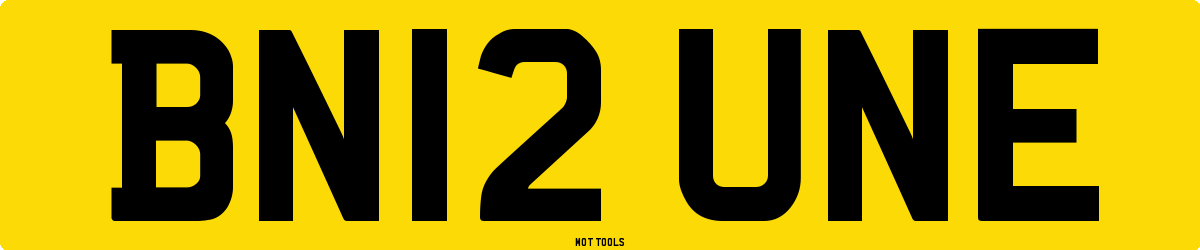 BN12UNE MOT Check