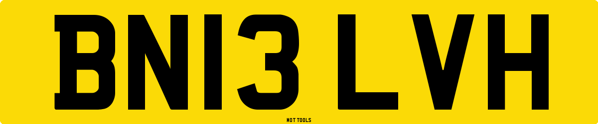 BN13LVH MOT Check