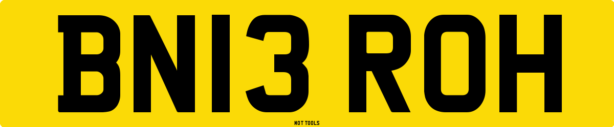 BN13ROH MOT Check