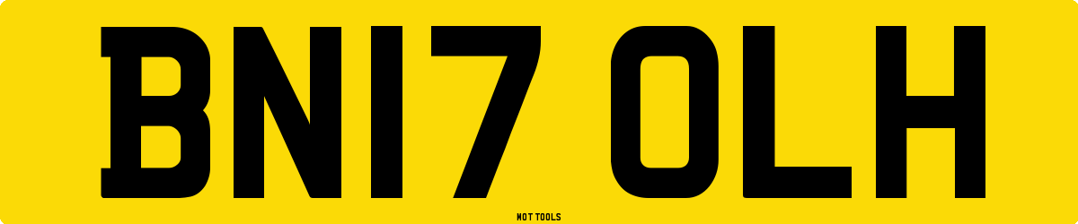 BN17OLH MOT Check