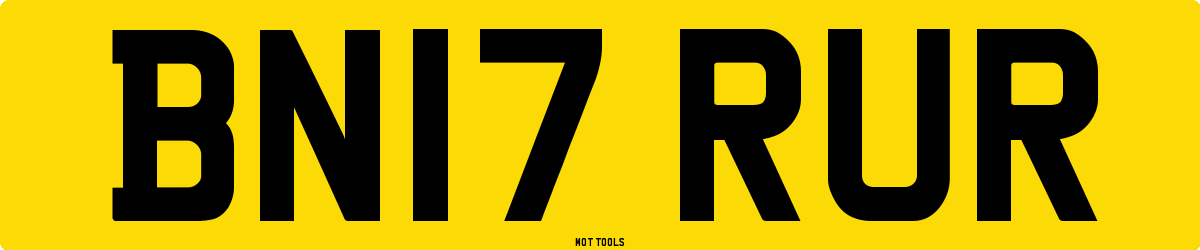 BN17RUR MOT Check