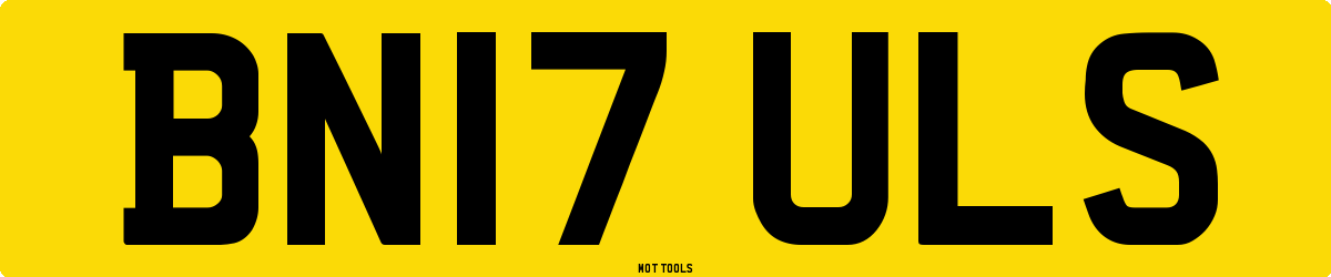 BN17ULS MOT Check