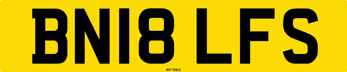 BN18LFS MOT Check