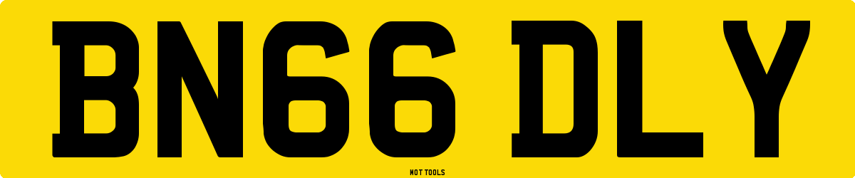 BN66DLY MOT Check
