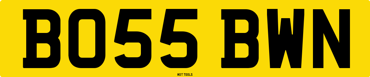 BO55BWN MOT Check
