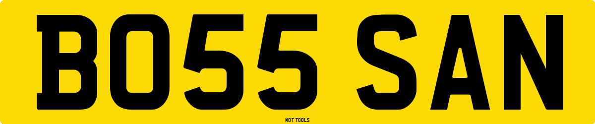 BO55SAN MOT Check