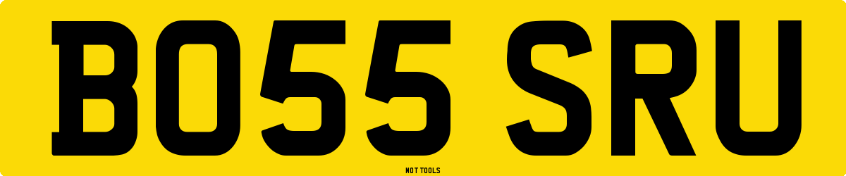 BO55SRU MOT Check