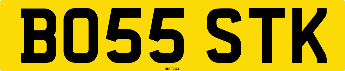 BO55STK MOT Check