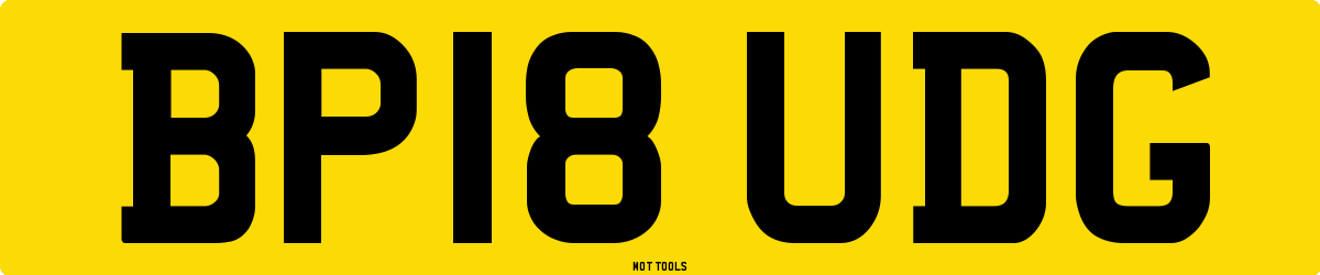 BP18UDG MOT Check