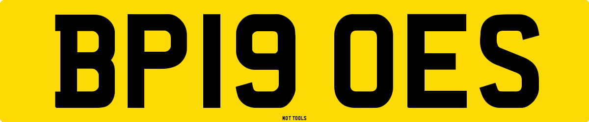 BP19OES MOT Check