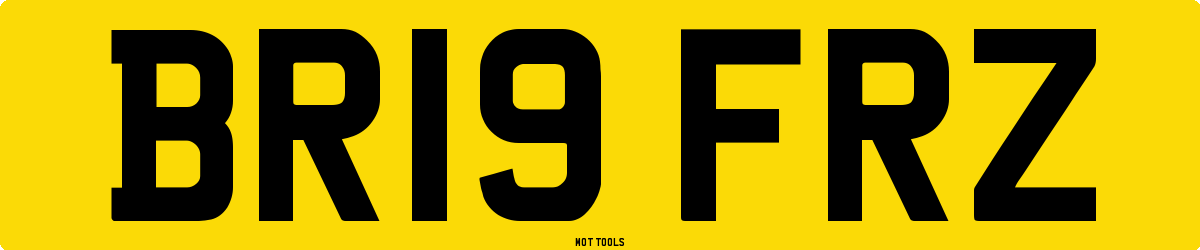BR19FRZ MOT Check