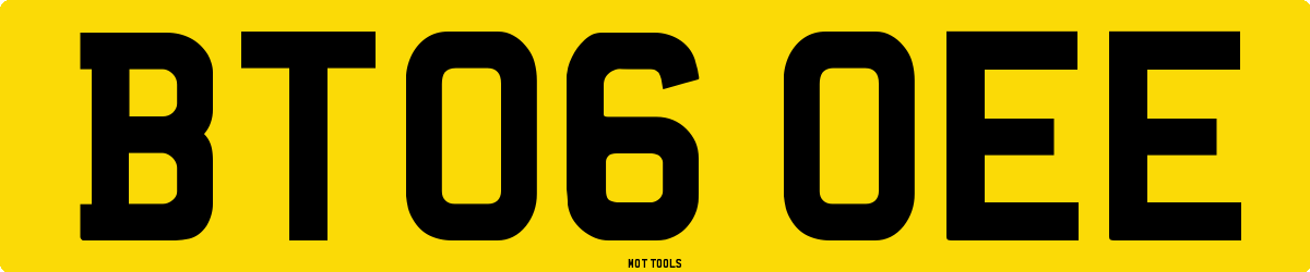 BT06OEE MOT Check