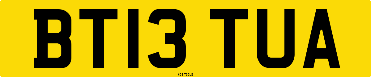 BT13TUA MOT Check