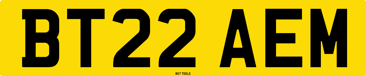 BT22AEM MOT Check