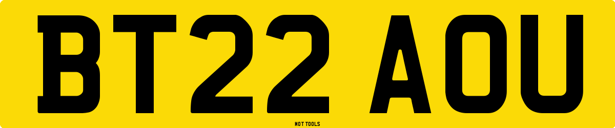 BT22AOU MOT Check