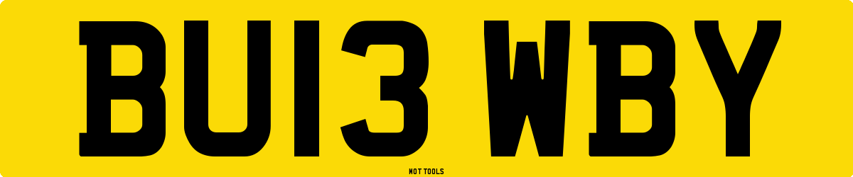 BU13WBY MOT Check