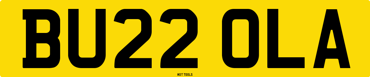BU22OLA MOT Check