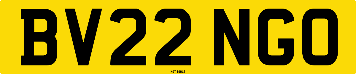 BV22NGO MOT Check