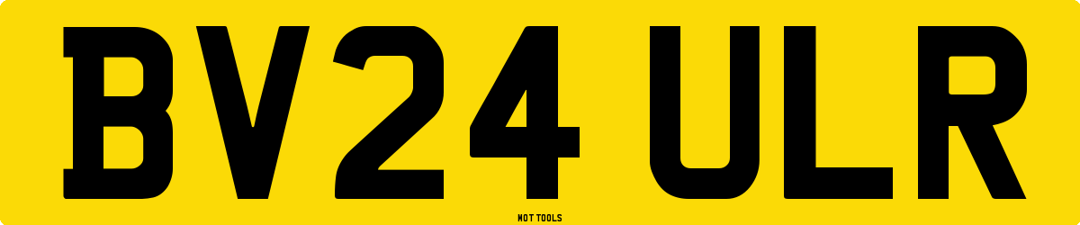 BV24ULR MOT Check
