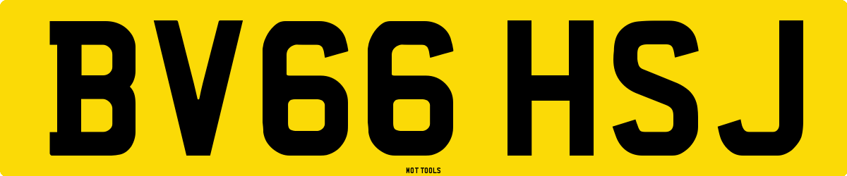 BV66HSJ MOT Check