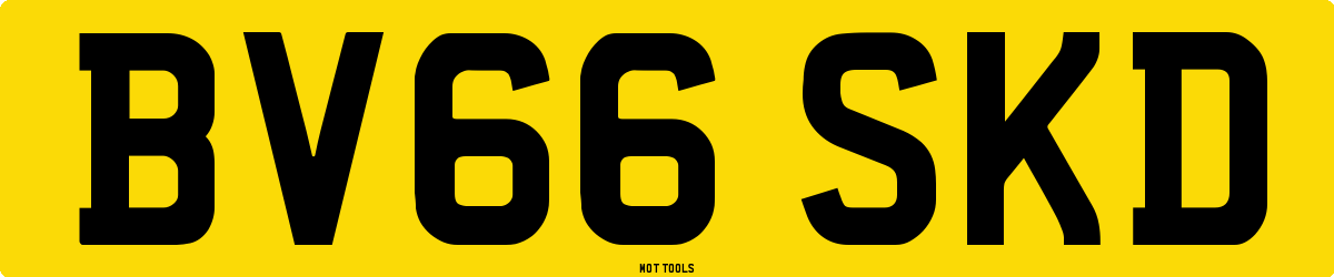 BV66SKD MOT Check