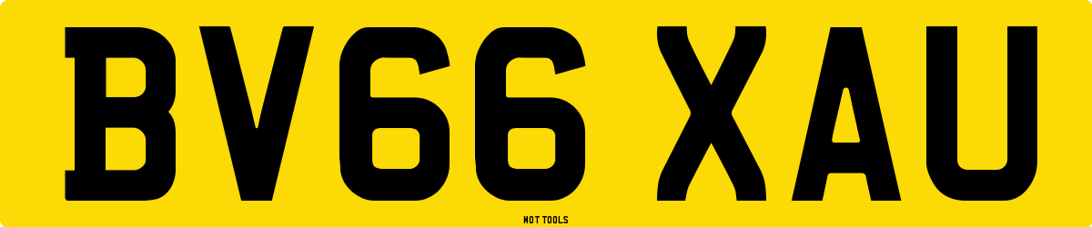 BV66XAU MOT Check