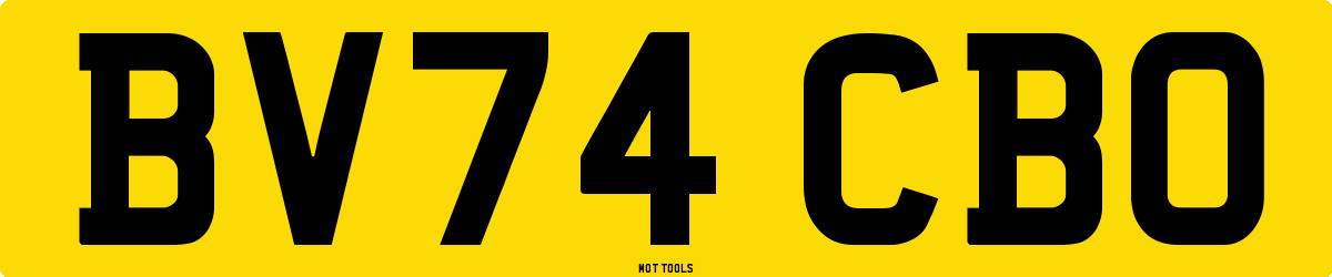 BV74CBO MOT Check