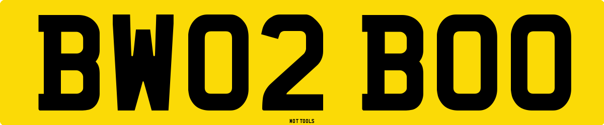 BW02BOO MOT Check