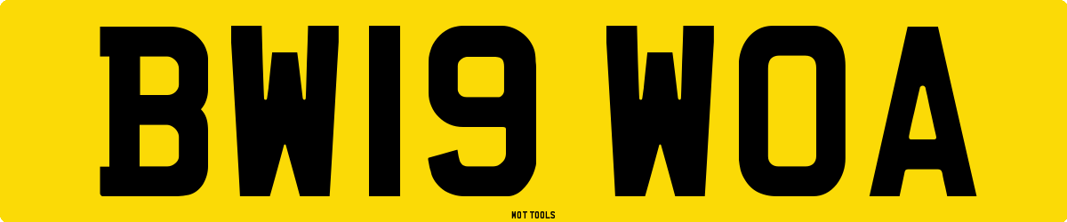 BW19WOA MOT Check