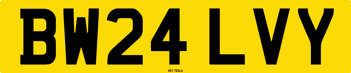 BW24LVY MOT Check