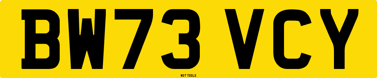 BW73VCY MOT Check