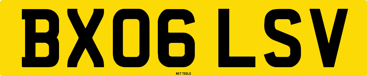 BX06LSV MOT Check