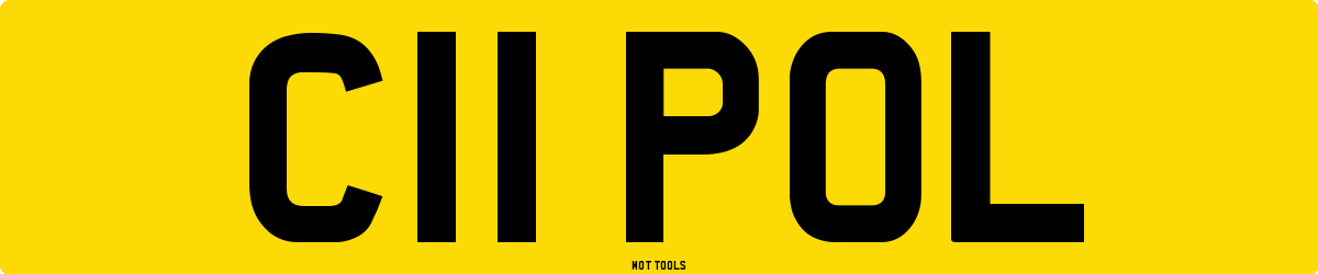 C11POL MOT Check