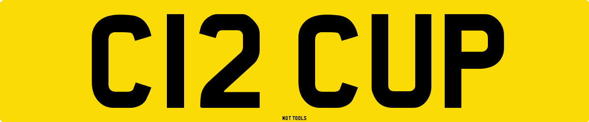 C12CUP MOT Check