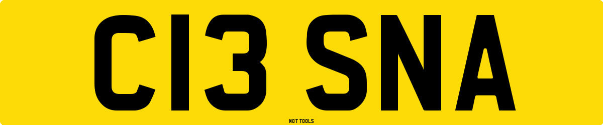 C13SNA MOT Check