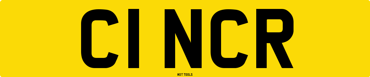 C1NCR MOT Check