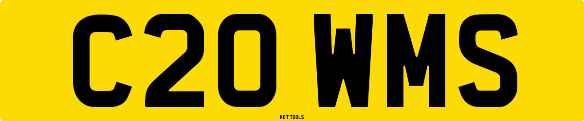 C20WMS MOT Check