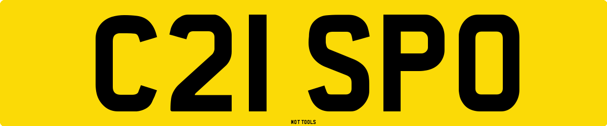 C21SPO MOT Check