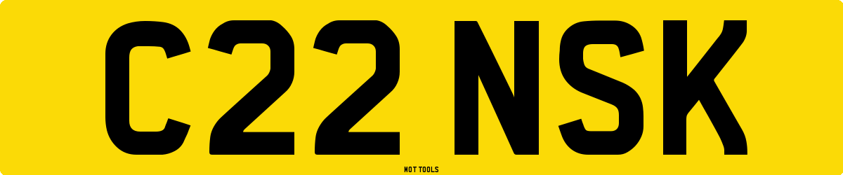 C22NSK MOT Check