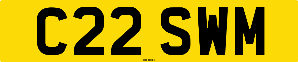 C22SWM MOT Check