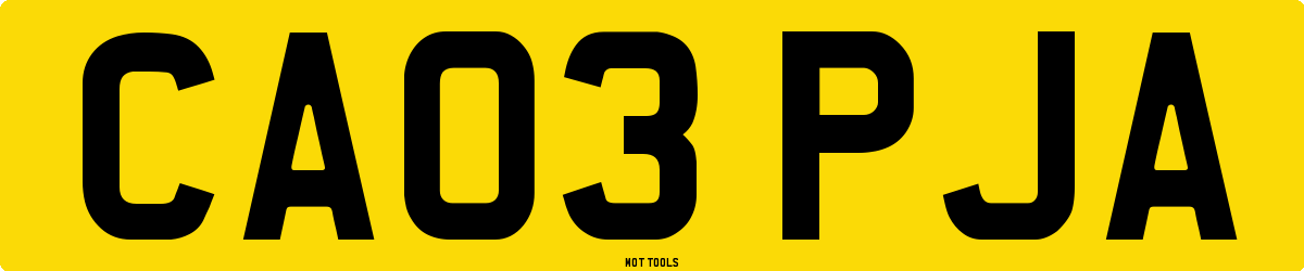 CA03PJA MOT Check