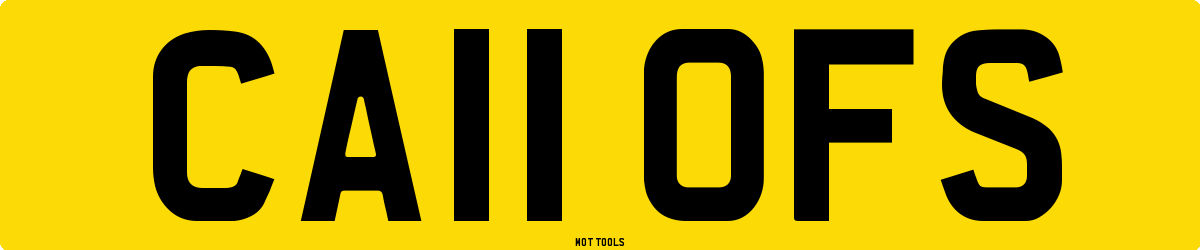 CA11OFS MOT Check
