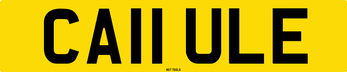 CA11ULE MOT Check