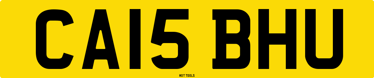 CA15BHU MOT Check