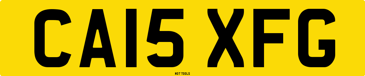 CA15XFG MOT Check