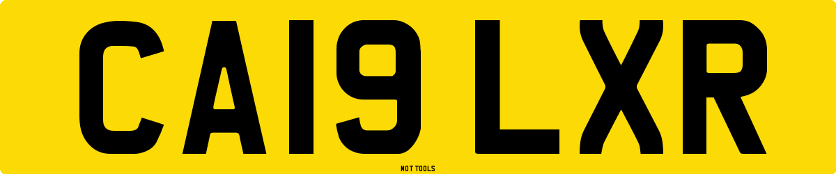 CA19LXR MOT Check